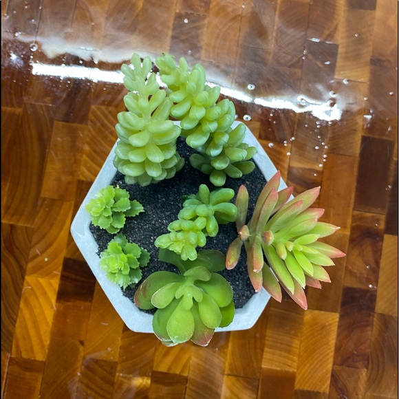 Faux succulents, 3-4 in 2”H hexagon shaped pots (2 available for purchase) - Picture 5 of 14